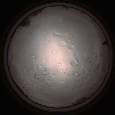 capture_202112061432_1835.Png