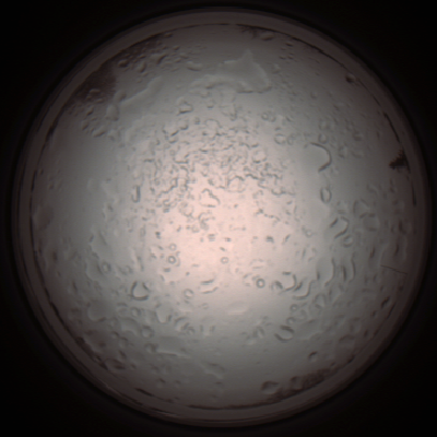 capture_202112060951_1554.Png