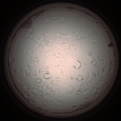 capture_202112061030_1593.Png