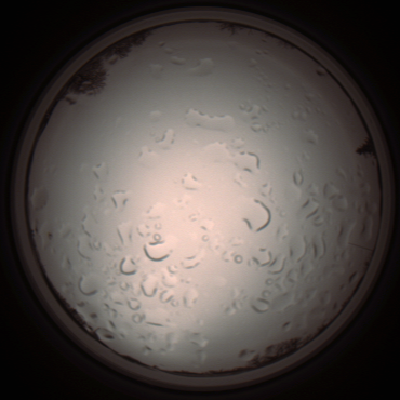 capture_202112061154_1677.Png