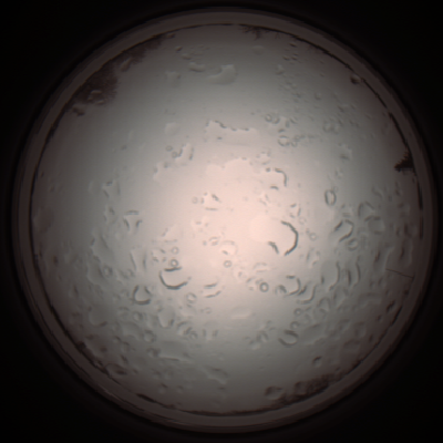 capture_202112061052_1615.Png