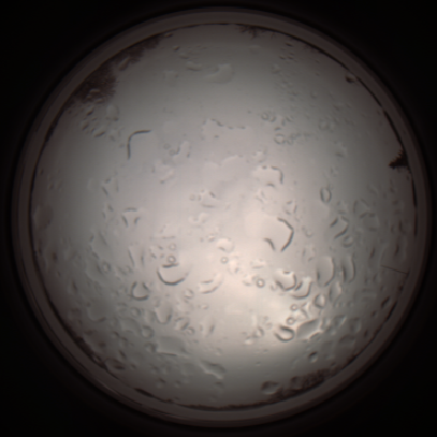 capture_202112061045_1608.Png