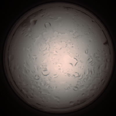 capture_202112061024_1587.Png