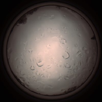 capture_202112061415_1818.Png