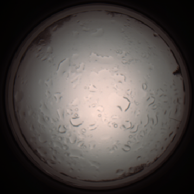 capture_202112061039_1602.Png