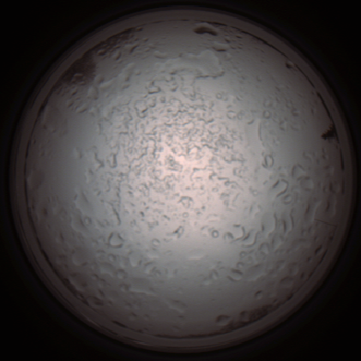 capture_202112060920_1523.Png