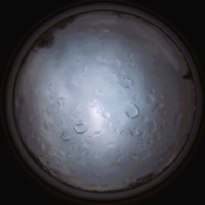 capture_202112061513_1876.Png