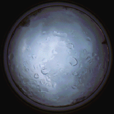 capture_202112061516_1879.Png