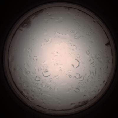 capture_202112061059_1622.Png