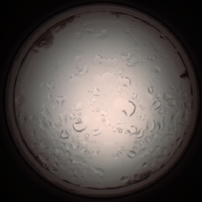 capture_202112061049_1612.Png