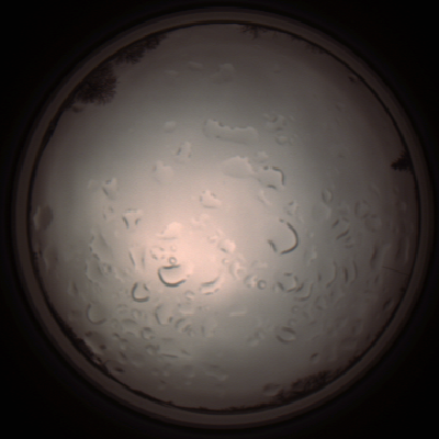 capture_202112061414_1817.Png