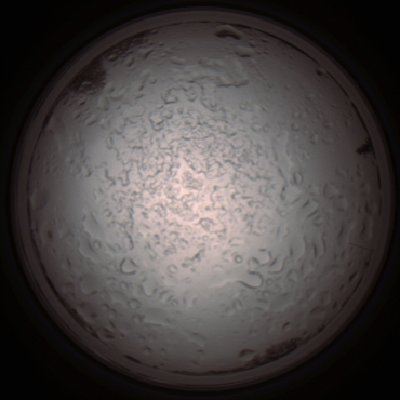 capture_202112060843_1486.Png