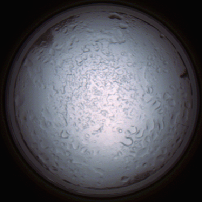 capture_202112060852_1495.Png