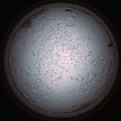 capture_202112060857_1500.Png