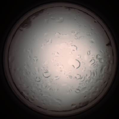 capture_202112061125_1648.Png
