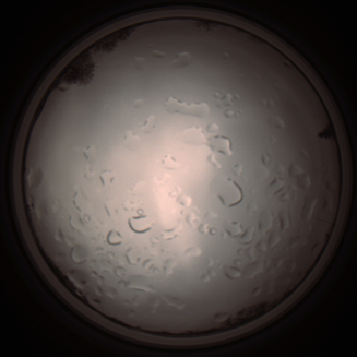 capture_202112061409_1812.Png