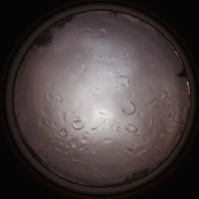 capture_202112061456_1859.Png