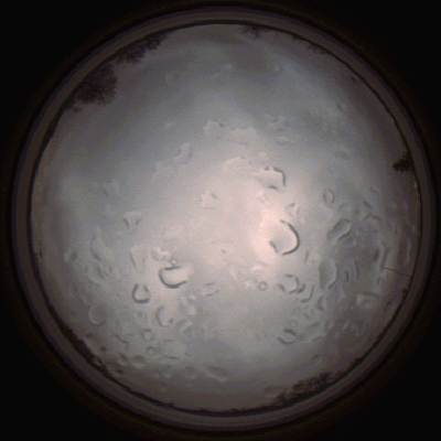 capture_202112061440_1843.Png