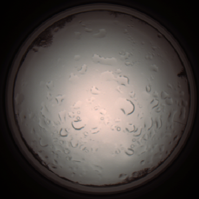 capture_202112061150_1673.Png