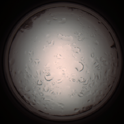 capture_202112061124_1647.Png
