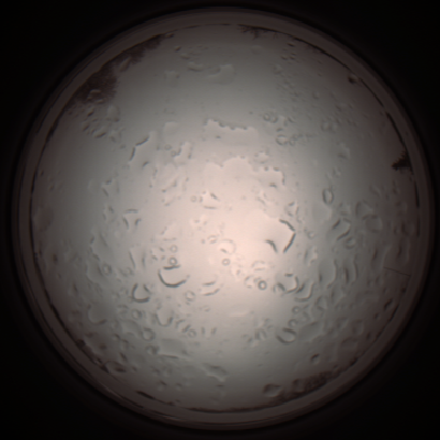 capture_202112061035_1598.Png