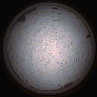 capture_202112060809_1452.Png