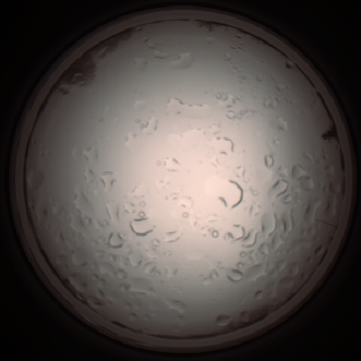capture_202112061058_1621.Png