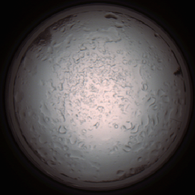 capture_202112060919_1522.Png