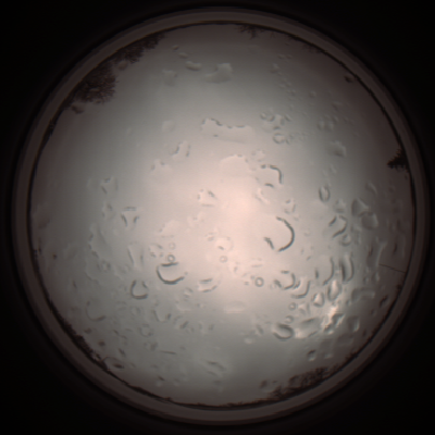 capture_202112061238_1721.Png