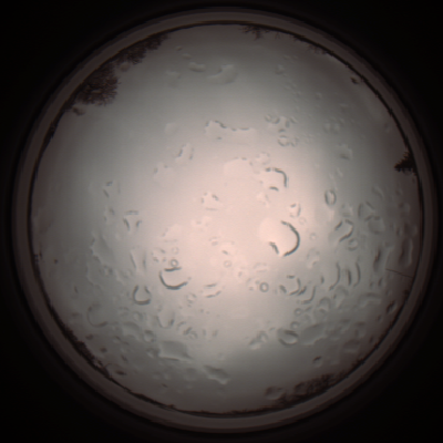 capture_202112061257_1740.Png