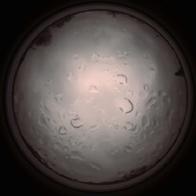 capture_202112061434_1837.Png