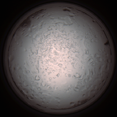 capture_202112060918_1521.Png