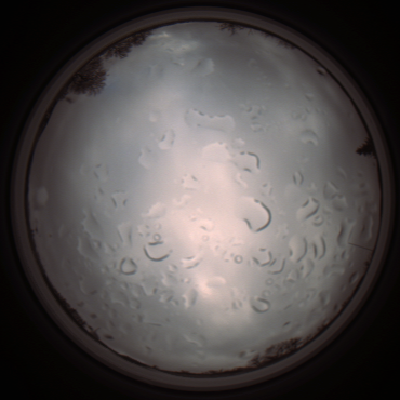 capture_202112061337_1780.Png