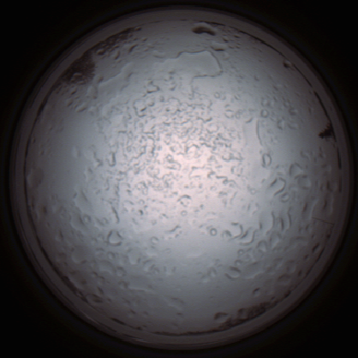 capture_202112060930_1533.Png