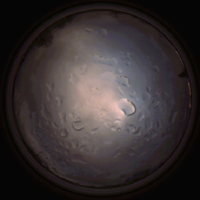 capture_202112061527_1890.Png