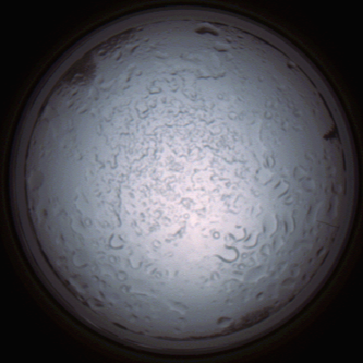 capture_202112060851_1494.Png