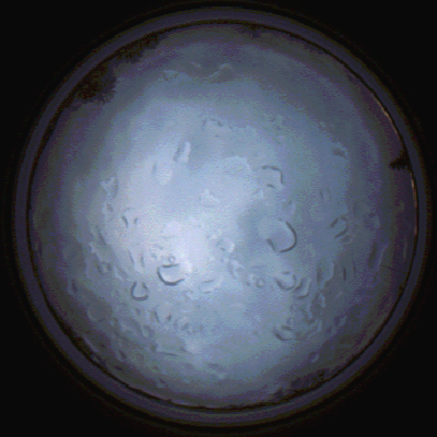 capture_202112061517_1880.Png