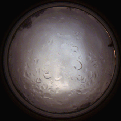 capture_202112061457_1860.Png
