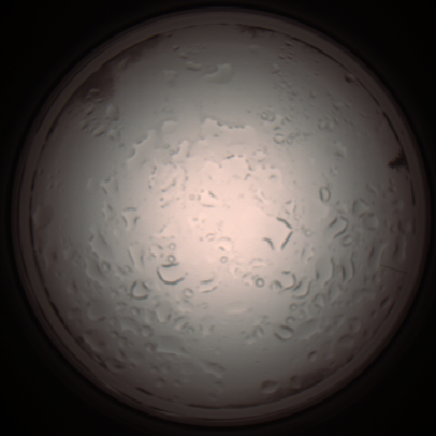 capture_202112061028_1591.Png