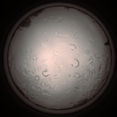 capture_202112061254_1737.Png