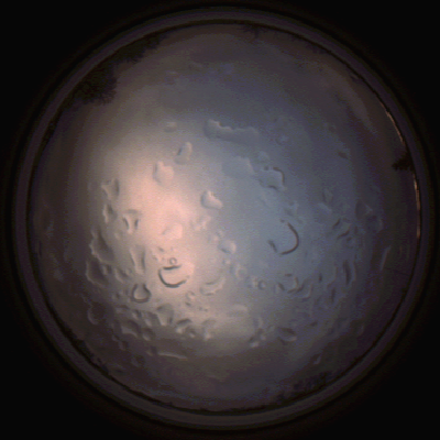 capture_202112061526_1889.Png