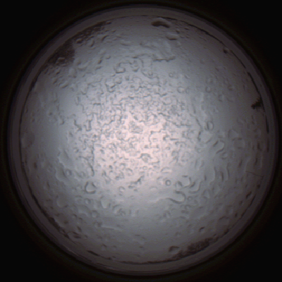 capture_202112060832_1475.Png