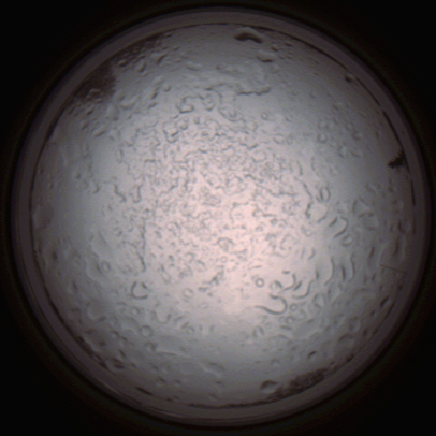 capture_202112060824_1467.Png