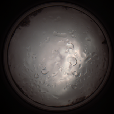 capture_202112061318_1761.Png