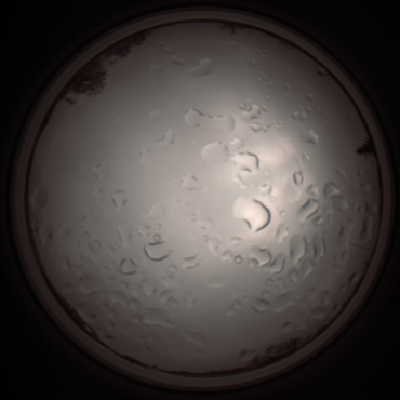 capture_202112061235_1718.Png
