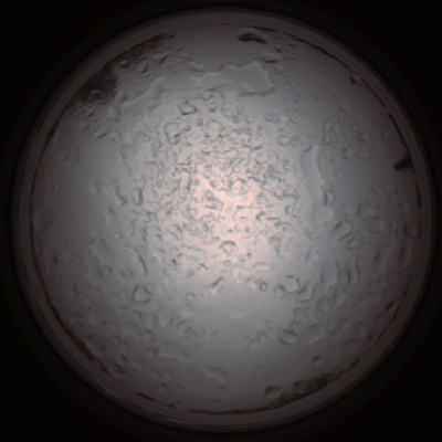 capture_202112060927_1530.Png