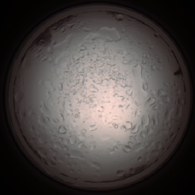 capture_202112060944_1547.Png