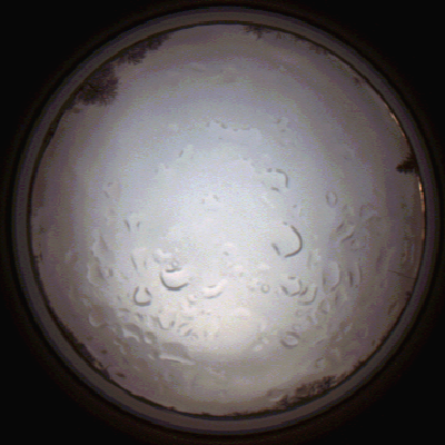 capture_202112061448_1851.Png