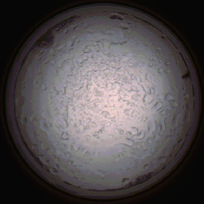 capture_202112060803_1446.Png