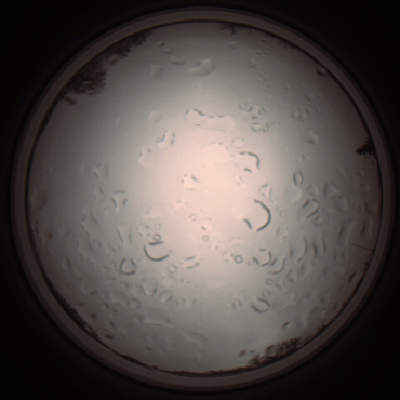 capture_202112061206_1689.Png